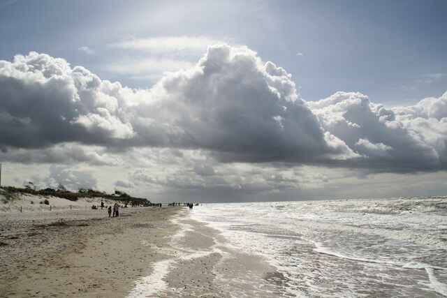 Ferienwohnung in Prerow - FeWo Rothirsch - Heuser Prerow - Bild 16