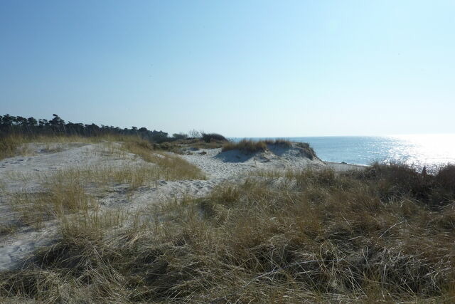 Ferienwohnung in Prerow - FeWo Rothirsch - Heuser Prerow - Bild 19