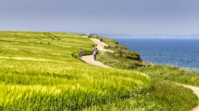 Ferienwohnung in Boltenhagen - Ferienhaus "An der Steilk&uuml;ste" Whg. 4 - Bild 16