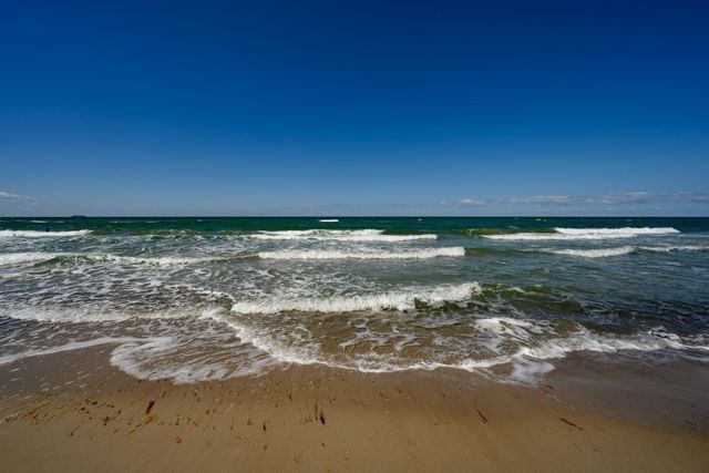 Ferienwohnung in Graal-M&uuml;ritz - Weinrose - Bild 23