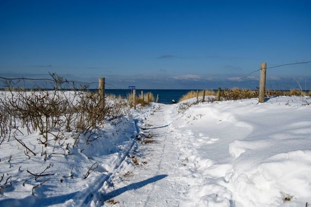 Ferienwohnung in Graal-M&uuml;ritz - Weinrose - Bild 25