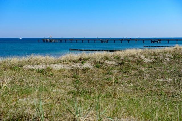 Ferienwohnung in Graal-M&uuml;ritz - Strandnelke - Bild 24