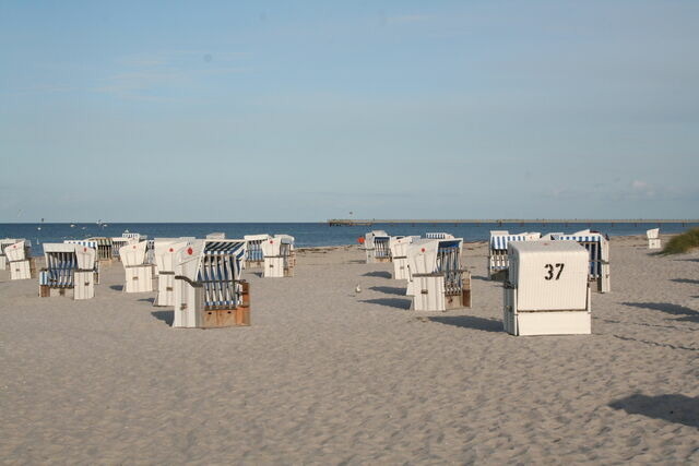 Ferienwohnung in Prerow - FeWo "Prerow" - Bild 12