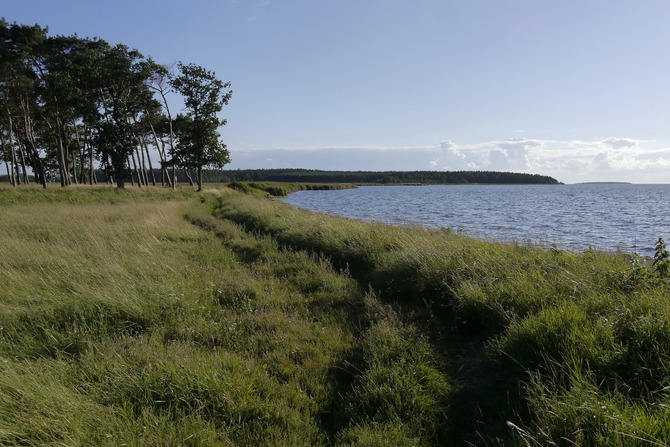Ferienwohnung in Rerik - Zwergm&ouml;we - Umgebung am Salzhaff