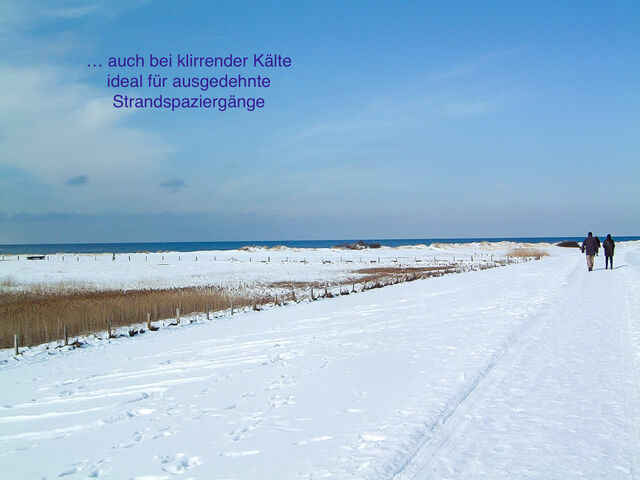 Ferienwohnung in Stein - Whg. Strandl&auml;ufer- Haus Nordlichter - Bild 23
