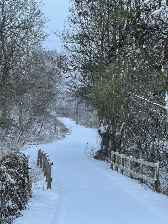 Ferienwohnung in Steinbeck - MP 1 Ankerplatz - Bild 17