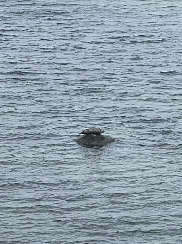 Ferienwohnung in Steinbeck - MP 3 K&uuml;stenkind - Bild 17