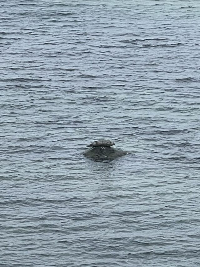 Ferienwohnung in Steinbeck - MP 6 Nordstern - Bild 18