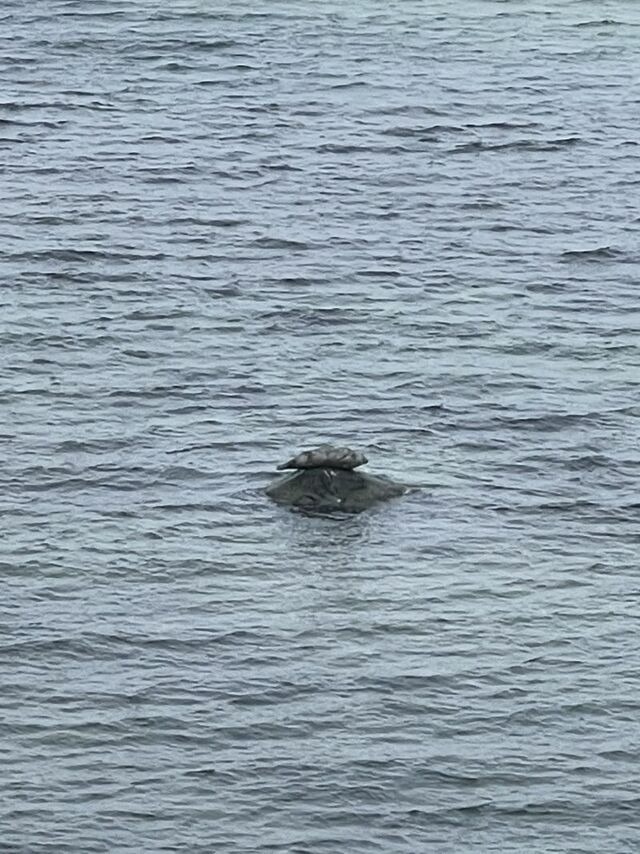 Ferienwohnung in Steinbeck - MP 7 Backbord - Bild 12