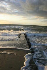 Ferienwohnung in Born a. Dar&szlig; - Ferienwohnung Nr. 03 (EG + OG) - Bild 25
