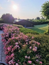 Ferienwohnung in Breege - Sonnenhus 2 - Breege/R&uuml;gen - Bild 21