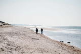 Ferienwohnung in Ahrenshoop - Strandblick 4 - Bild 10