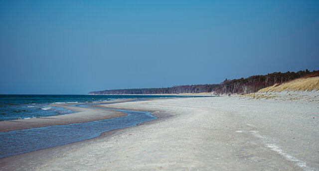 Ferienwohnung in Ahrenshoop - Stranddistel 3 - Bild 10