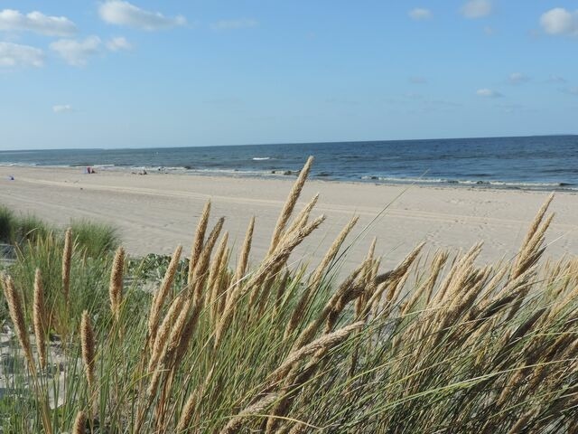 Ferienwohnung in L&uuml;tow - Zeit f&uuml;r Erholung, Ferienhaus A&C Prudlo, Usedom - Bild 22