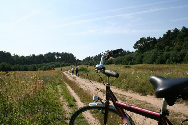 Ferienhaus in Baabe - Achtern Dieck - Baabe - Bild 11