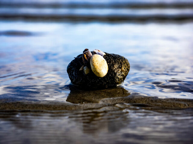 Ferienhaus in Gl&uuml;cksburg - Ferienhaus "lille bl&aring; s&oslash;ster" - Bild 17