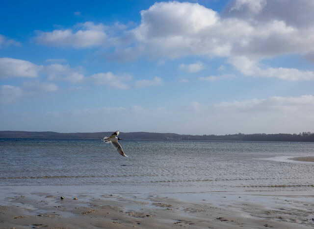 Ferienhaus in Gl&uuml;cksburg - Ferienhaus "lille bl&aring; s&oslash;ster" - Bild 20