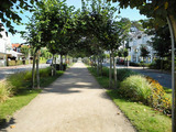 Ferienhaus in Baabe - Meeresleuchten - Baabe - Bild 20