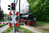 Ferienhaus in Baabe - Meeresleuchten - Baabe - Bild 23