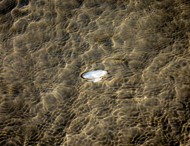 Ferienhaus in Gl&uuml;cksburg - Trehus - Bild 25