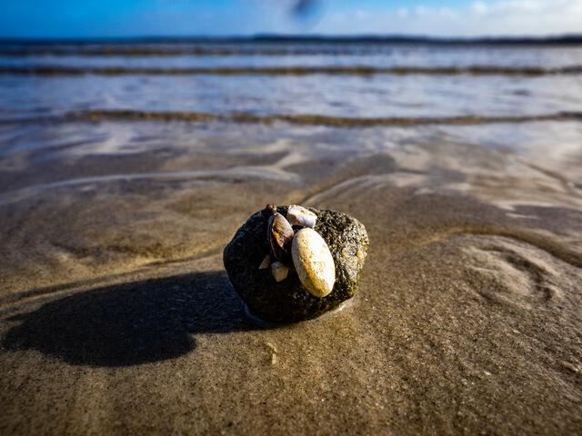 Ferienhaus in Gl&uuml;cksburg - Ferienhaus "S&ouml;ren" - Bild 17