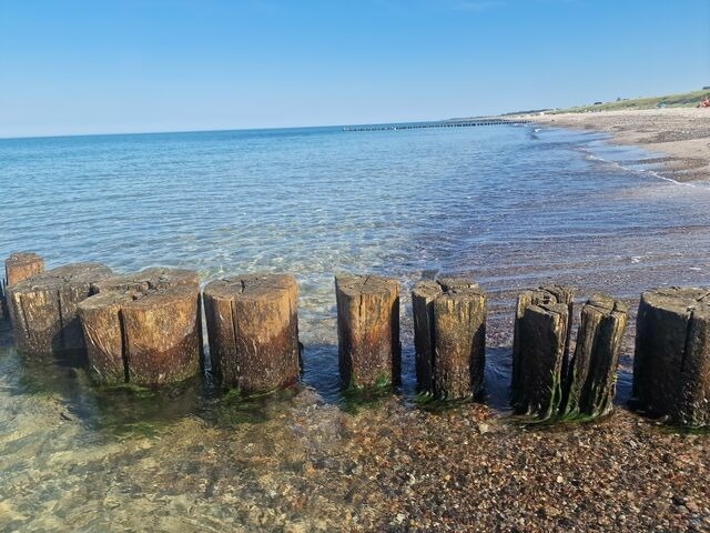 Ferienwohnung in Dierhagen - K&auml;ptn Brass App. 2 "Leinenlos im Kaj&uuml;ting" - Bild 14