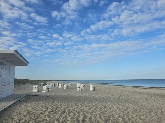 Ferienwohnung in Dierhagen - K&auml;ptn Brass App. 2 "Leinenlos im Kaj&uuml;ting" - Bild 15