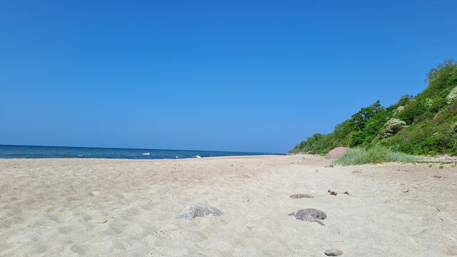 Ferienwohnung in Rerik - Cottage am Meer - Maisonette mit Wohlf&uuml;hlambiente - Bild 23
