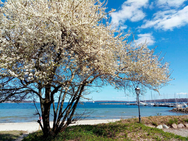 Ferienwohnung in Harrislee - Appartement F&ouml;rdeblick am Strand von Wassersleben / App. 631 - Bild 16