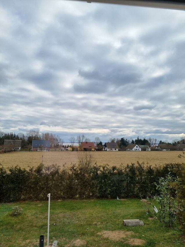 Ferienwohnung in L&uuml;tow - Ferienhaus K&ouml;hler Am Walde , Urlaub mit Hund - Bild 11