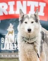 Ferienwohnung in L&uuml;tow - Ferienhaus K&ouml;hler Am Walde , Urlaub mit Hund - Bild 16