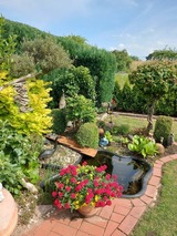 Bungalow in Hohenkirchen - direkt am Wasser ""K&uuml;stenperle"mit Meerblick und Sauna - Bild 10