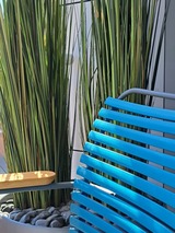 Ferienwohnung in Eckernf&ouml;rde - Eck am Meer 4 - Bild 21