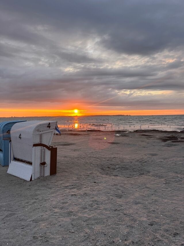 Ferienwohnung in Wendtorf - Hafenblick - Bild 11