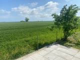 Ferienhaus in Fehmarn OT Gammendorf - Ferienhaus Sonnenwinkel - Blick &uuml;ber die Felder