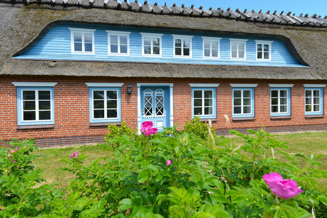 Ferienwohnung in Nieby - Strandhaus Falsh&ouml;ft 1 - Bild 5