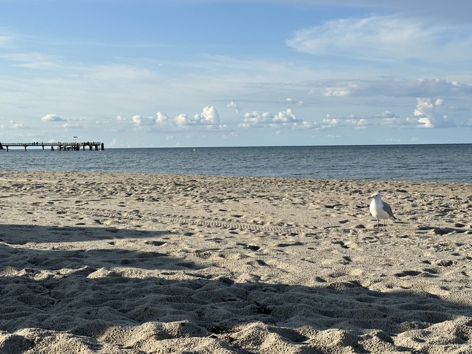 Ferienwohnung in Boltenhagen - Wei&szlig;e Villen Whg. 20 - Strand