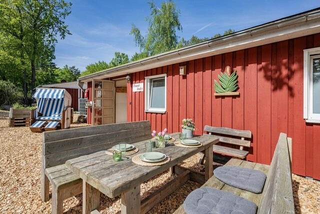 Ferienhaus in &Uuml;ckeritz - Strandl&auml;ufer - Bild 4