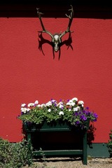 Ferienhaus in Nieby - F&ouml;rsterei - Schloss Gelting - Bild 18