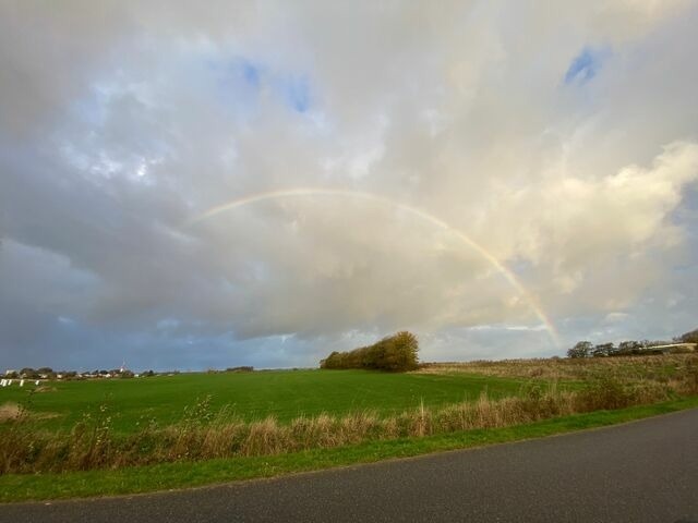 Ferienhaus in Gl&uuml;cksburg - Ferienhaus Innenf&ouml;rde - Bild 23