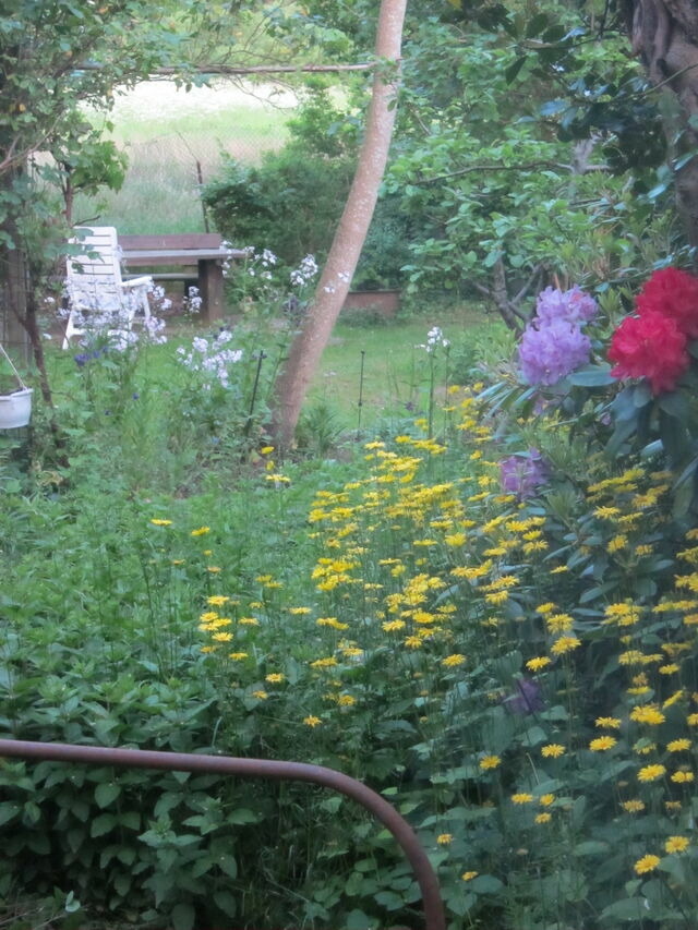 Ferienwohnung in Gl&uuml;cksburg - Ferienwohnung Erlkron - Bild 25