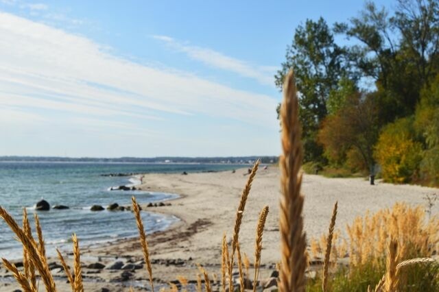Ferienwohnung in Sierksdorf - kleine Auszeit T&ouml;ppler - Bild 13