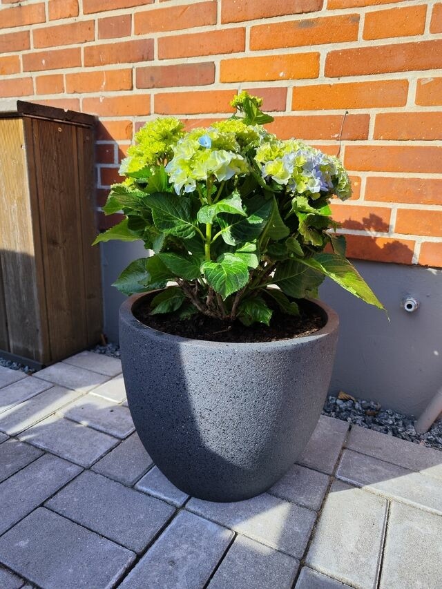 Ferienwohnung in Gro&szlig;enbrode - Fischers Hus / Gem&uuml;tlichkeit - Bild 18