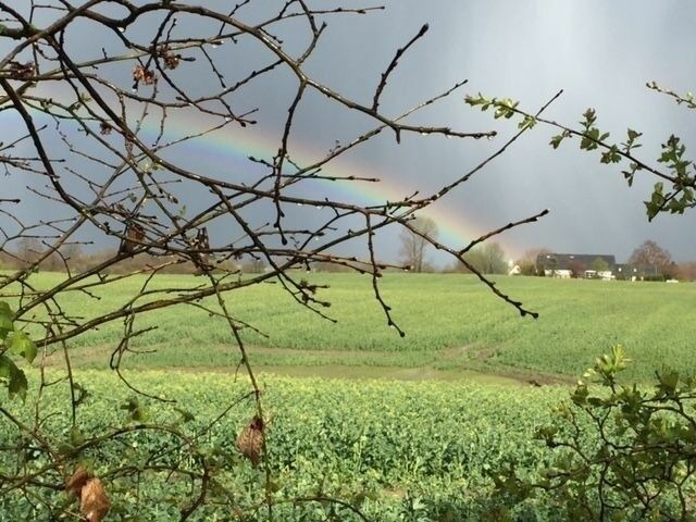 Ferienhaus in Hasselberg - Ferienhaus Knorrl&uuml;ck - Bild 19