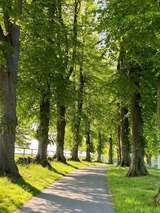 Ferienwohnung in Rieseby - Gut B&uuml;chenau - Ferienwohnung Romantika - Bild 16