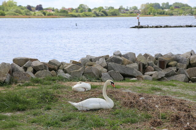 Ferienwohnung in Rabenkirchen-Faul&uuml;ck - Appartement Bea 2 - Bild 12