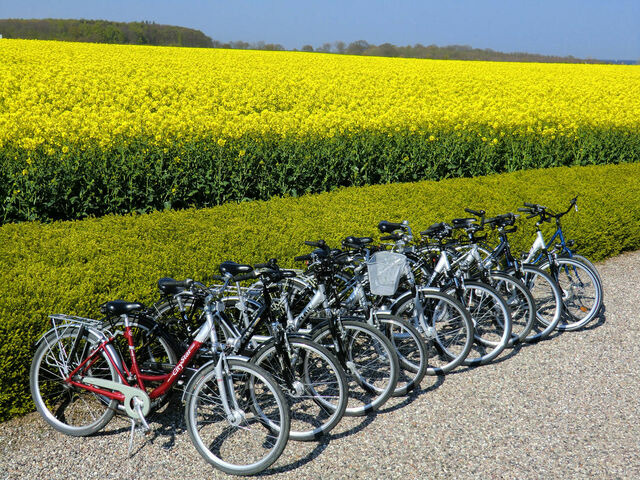 Ferienwohnung in S&uuml;ssau - Mama Mia - Bild 19