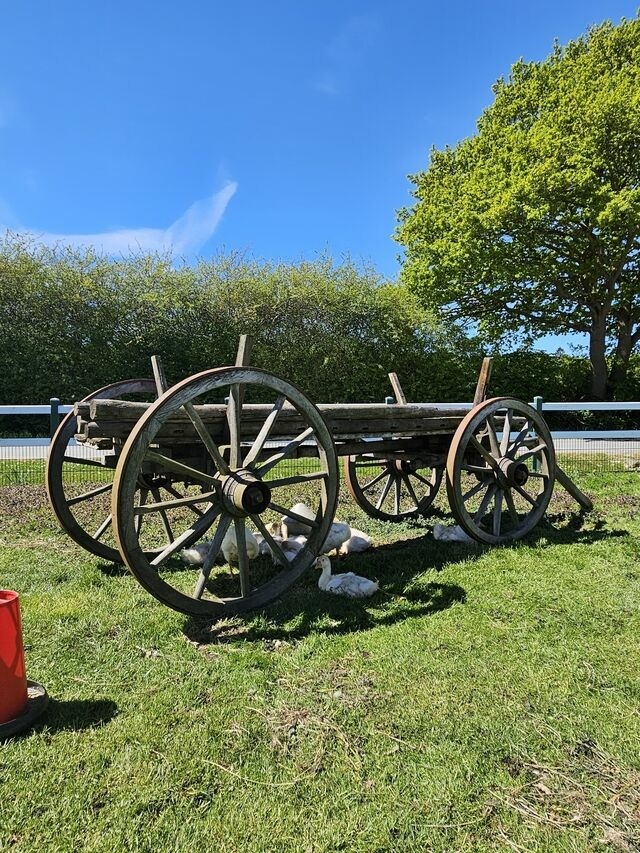 Ferienhaus in Gr&ouml;mitz - Hof Hagen - "Am Birnenbaum" (Neubau) - Bild 23