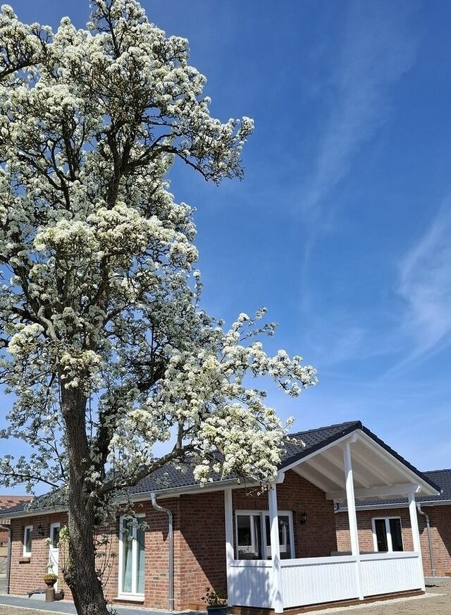 Ferienhaus in Gr&ouml;mitz - Hof Hagen - "Am Birnenbaum" (Neubau) - Bild 3