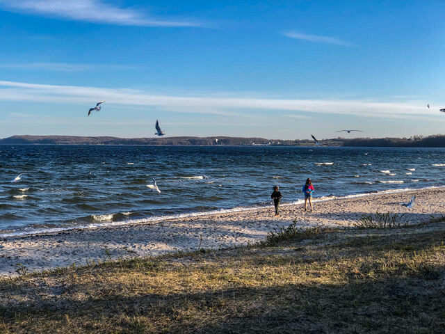 Ferienwohnung in Gl&uuml;cksburg - Ferienwohnung Sailing - Bild 22